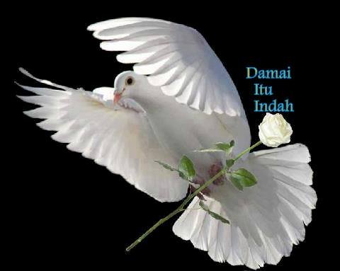 DAMAI AMBON KU, DAMAI INDONESIA KU