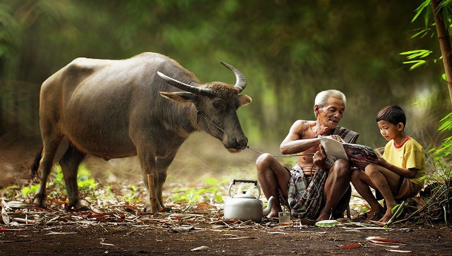 Belajar Pendidikan Sejarah Indonesia, Itu Penting !!!